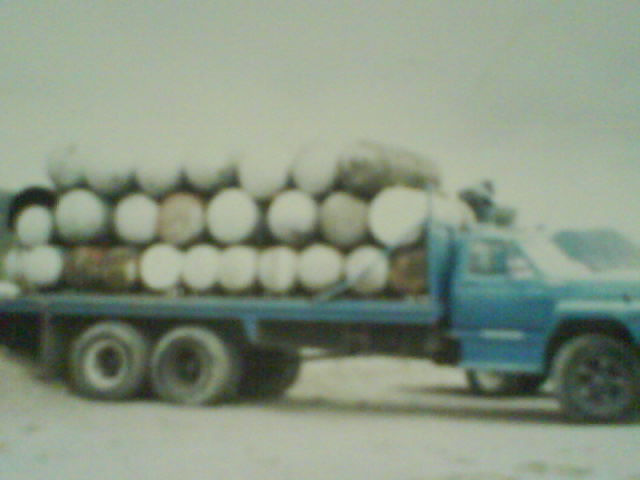 RECOLECCION DE TANQUES PARA DESTRUCCION